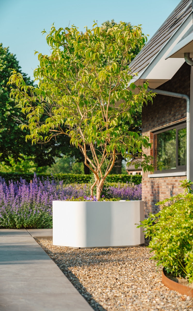 Adezz I Shape Pflanzgefäß aus Fiberglas