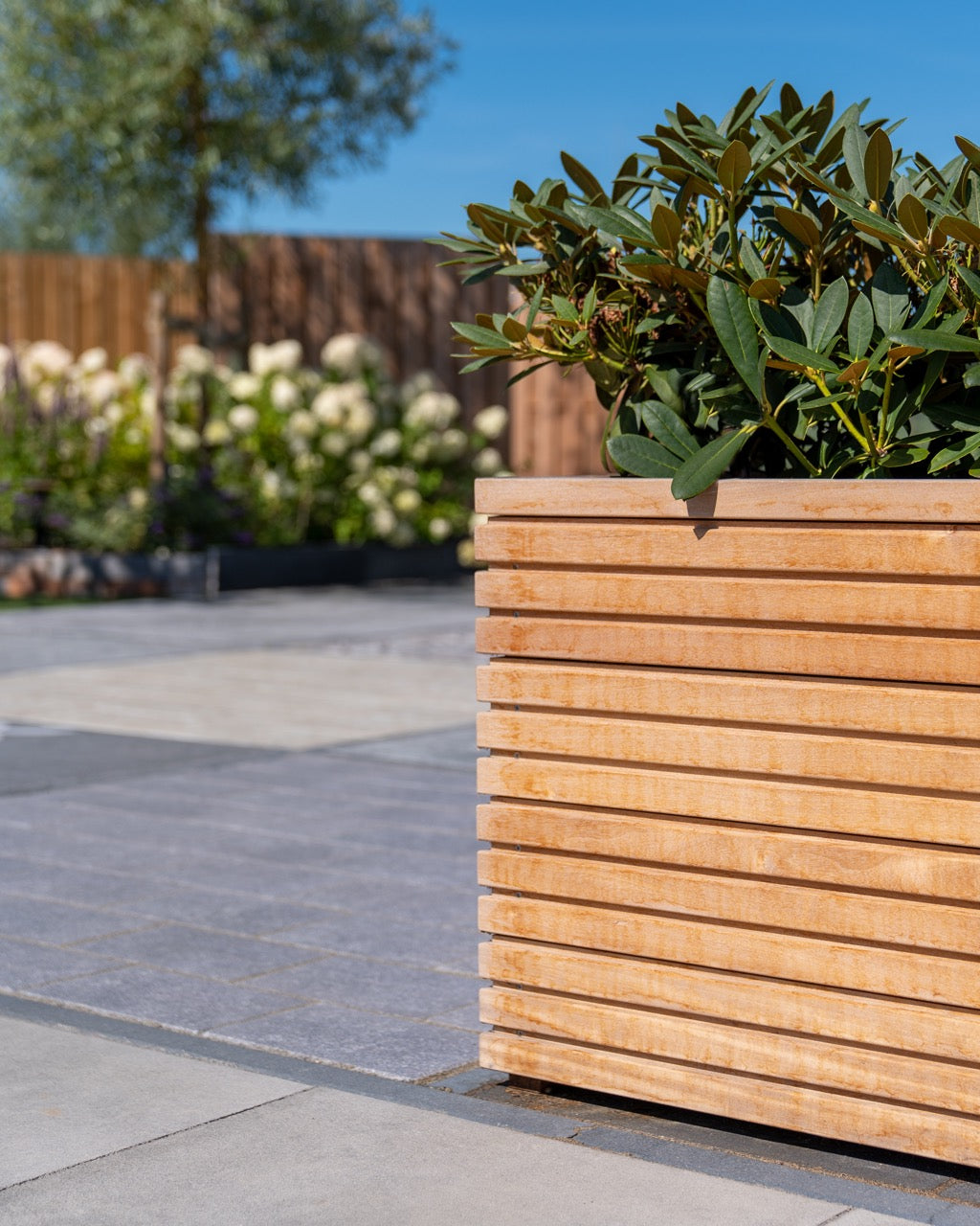 Das Malaga Rhombus Pflanzgefäß aus Hartholz ist perfekt für Ihr Zuhause im Freien. Die stabile Konstruktion sorgt dafür, dass Ihre Pflanzen sicher stehen, und das nachhaltige Design fügt sich harmonisch in jede Gartengestaltung ein.