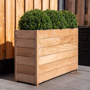 Das CARREZ Pflanzgefäß von Adezz ist ein rechteckiges Garten-Pflanzgefäß, das aus tropischem Hartholz besteht und Ihrem Garten einen warmen, natürlichen Stil verleiht. Das Hartholz bietet eine hohe Langlebigkeit und hält bis zu 25 Jahre. Über die Zeit entwickelt es eine wunderschöne, graue Patina, die den natürlichen Charme des Holzes hervorhebt. Es ist mit rostfreien Edelstahlschrauben gesichert, und der Boden ist mit einem wurzelfesten Tuch ausgekleidet. 