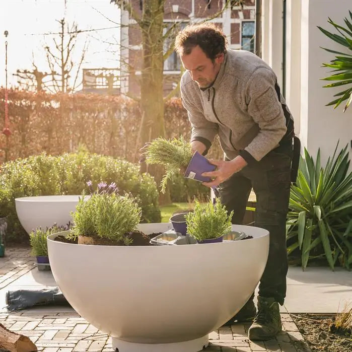 Genießen Sie die Vorzüge des BOCCA Pflanzgefäßes, das aus langlebigem und korrosionsbeständigem Stahl gefertigt ist. Es hat Ablauflöcher für eine optimale Drainage und ist in verschiedenen Größen erhältlich, um in jeden Garten zu passen. Das Pflanzgefäß wird mit einer hochwertigen Pulverbeschichtung geliefert, die es vor Witterungseinflüssen schützt.