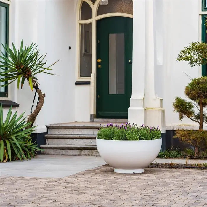 Erleben Sie mit dem BOCCA Pflanzgefäß die perfekte Kombination aus Funktion und Ästhetik. Hergestellt aus beschichtetem Stahl, ist es in verschiedenen Farben und Größen erhältlich, um Ihren individuellen Gartenstil zu ergänzen.