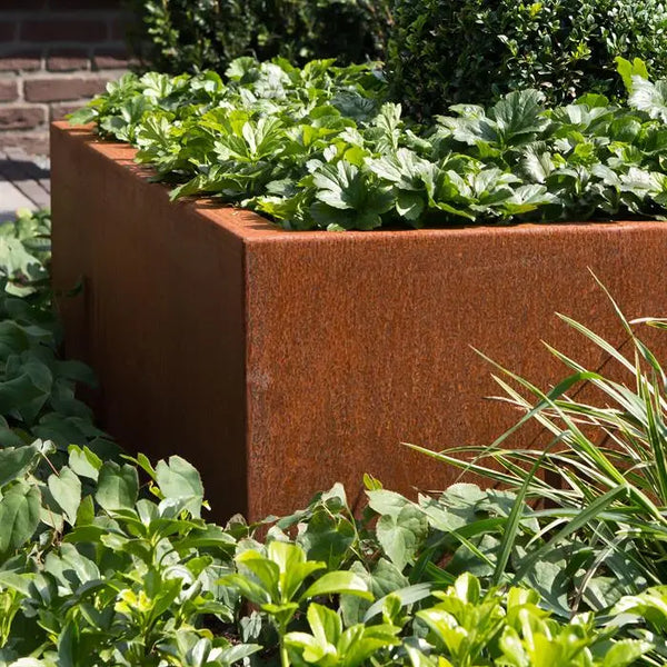 Adezz Carrez square border made of Corten steel without base 
