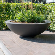 Elegante Gartenakzente mit der Ceder Pflanzschale
Die Ceder Fiberglas-Pflanzschale vereint Stil und Funktionalität. Ihre geschwungenen Linien und das hochwertige Fiberglas machen sie zu einem eleganten Blickfang in jedem Garten. Diese Pflanzschale ist die perfekte Wahl für Pflanzenliebhaber, die ihr Zuhause mit natürlichem Grün bereichern möchten.