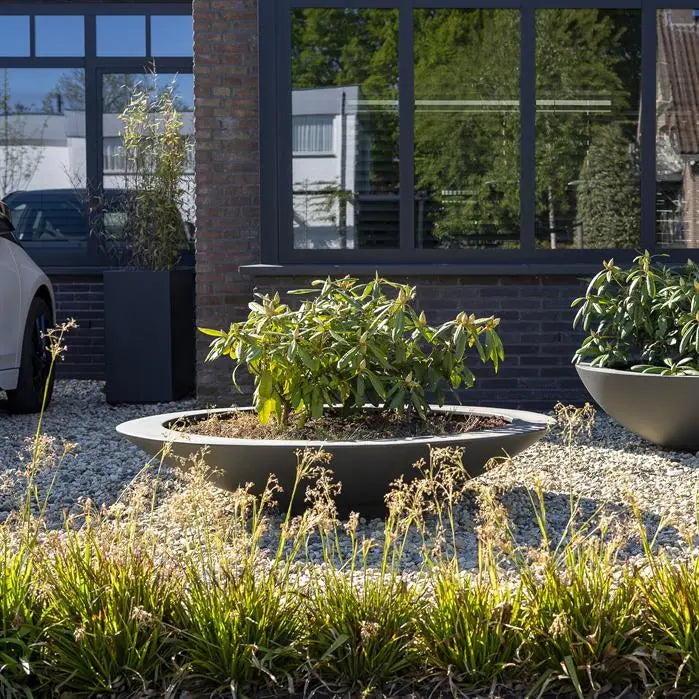 Adezz I Ceder Pflanzschale aus Fiberglas