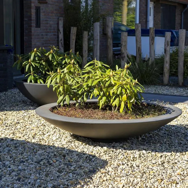 Adezz Ceder plant bowl made of fiberglass 