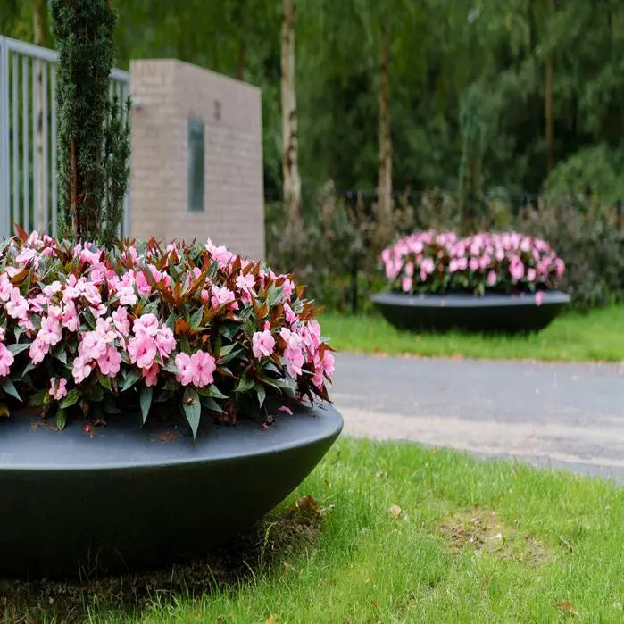 Dieses stilvolle Pflanzgefäß bietet Platz für Ihre Pflanzen und setzt gleichzeitig elegante Akzente. Es ist in verschiedenen Farben erhältlich und perfekt für jedes Gartendesign. Das robuste Fiberglas sorgt für Langlebigkeit und Stabilität, während die schwebende Optik einen modernen Eindruck hinterlässt.