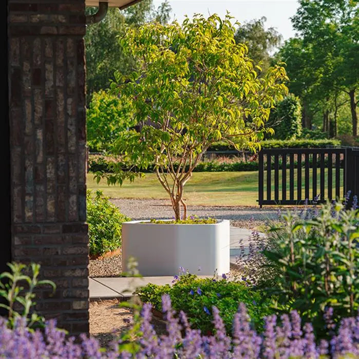 Robustes Design: Das SHAPE Pflanzgefäß aus Fiberglas ist stark und langlebig. Es bleibt in Form, ohne die Farbe zu verlieren. Ideal für den Garten.
