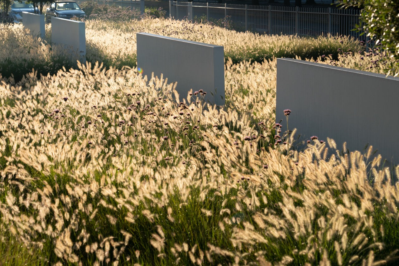 Adezz I Wand freistehend aus Fiberglas