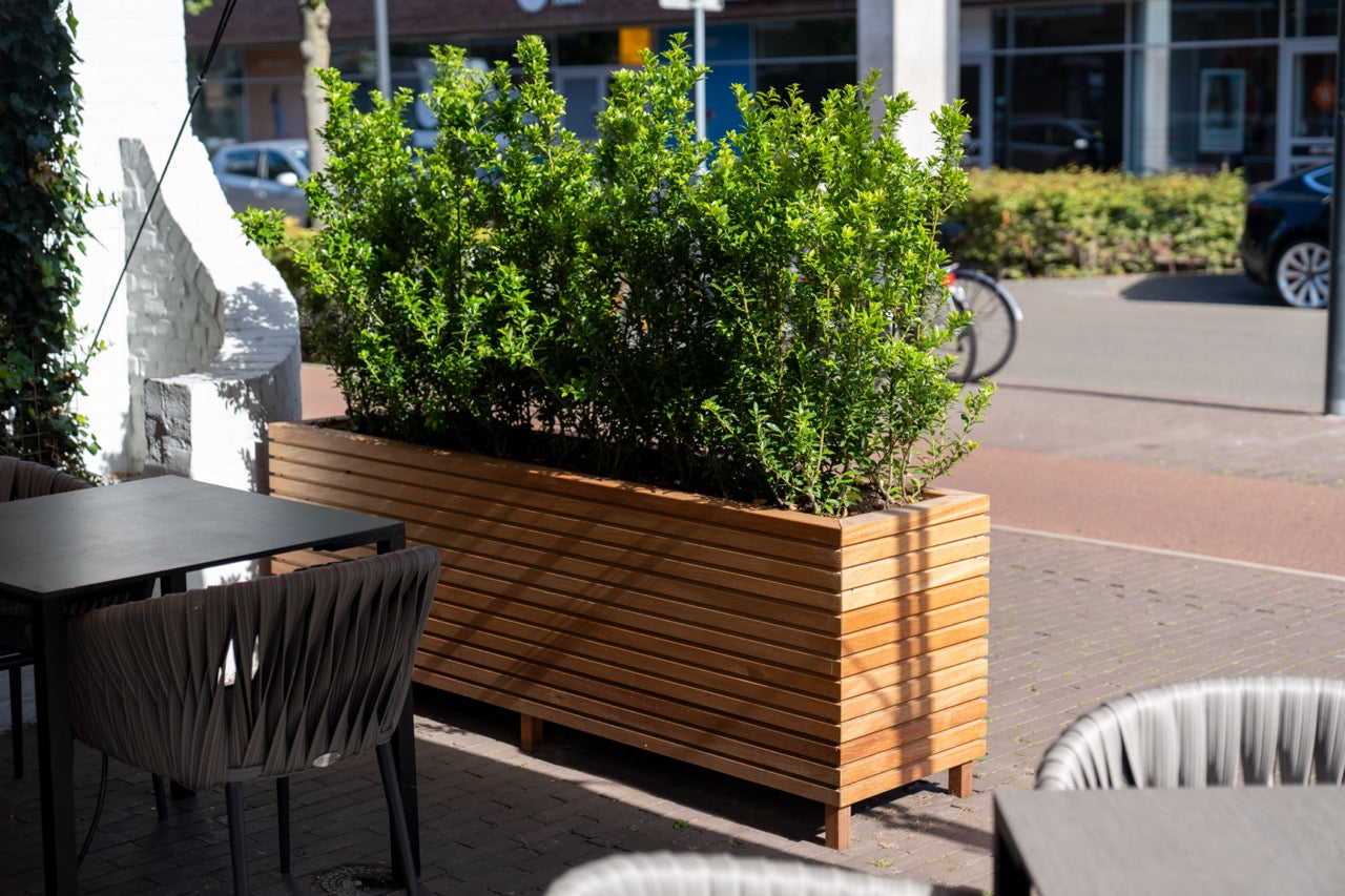 Einmal im Garten platziert, wird das Malaga Rhombus Pflanzgefäß zu einem echten Blickfang. Hartholz ist pflegeleicht und benötigt keine weiteren Behandlungen. Es wird mit der Zeit grau und erhält so eine natürliche, schöne Optik.