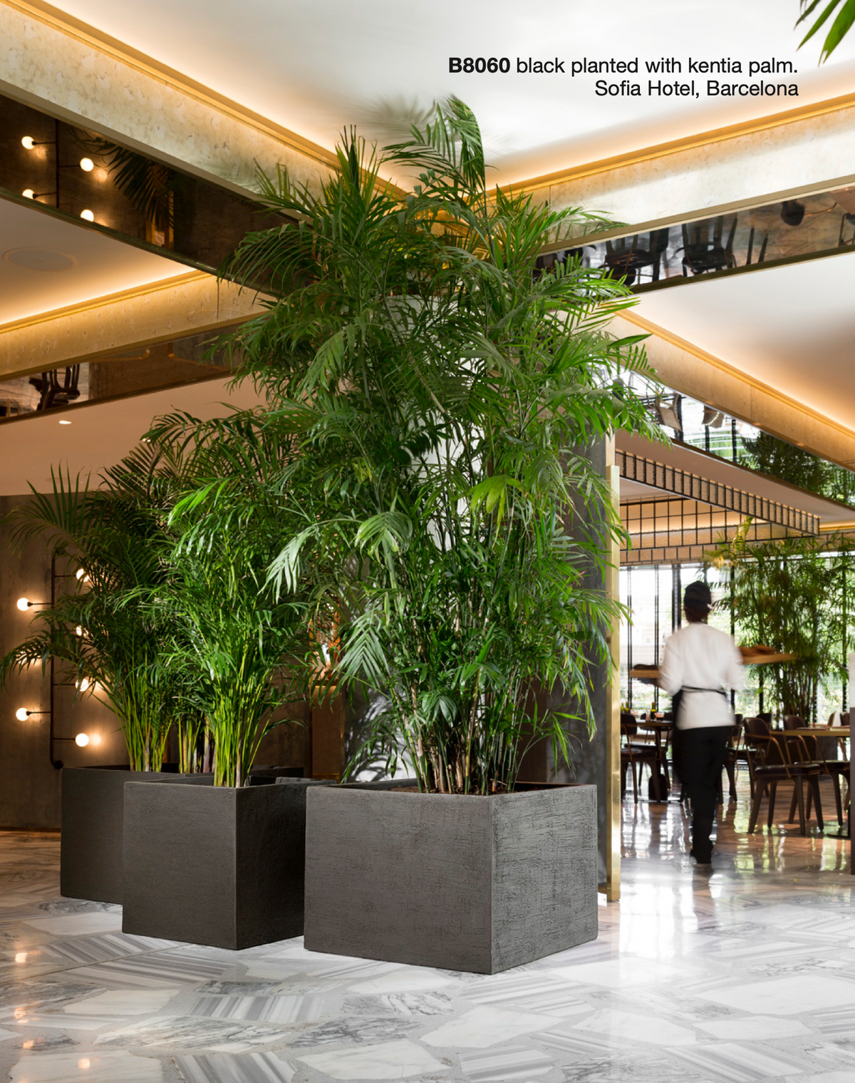 Atelier Vierkant B-CUBE Pflanzgefäß am Place Edouard VII in Paris, Projekt von Gabriel Rochard