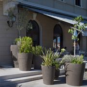 Das Terrakotta-Pflanzgefäß MR von Atelier Vierkant ist ein handgefertigtes, frostfestes Gefäß mit einer glatten, sanft gestrichenen Oberfläche und klassischer Form. Es bietet genug Platz für verschiedene Pflanzenarten und kann das ganze Jahr über draußen stehen.