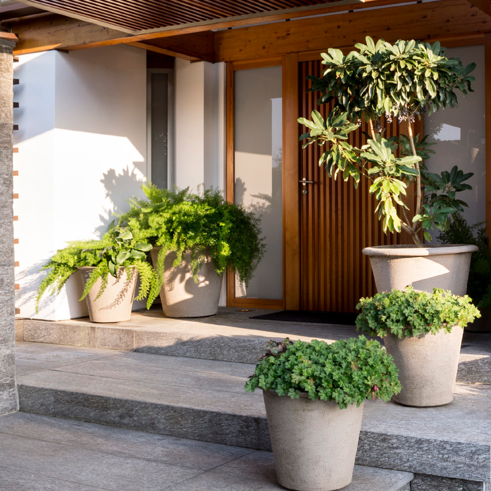 Das handgefertigte Atelier Vierkant RR Pflanzgefäß aus hochwertiger Terrakotta kombiniert klassische Ästhetik mit moderner Funktionalität. In verschiedenen Größen erhältlich, bietet es frostbeständige und robuste Lösungen für Gärten, Terrassen und öffentliche Bereiche.