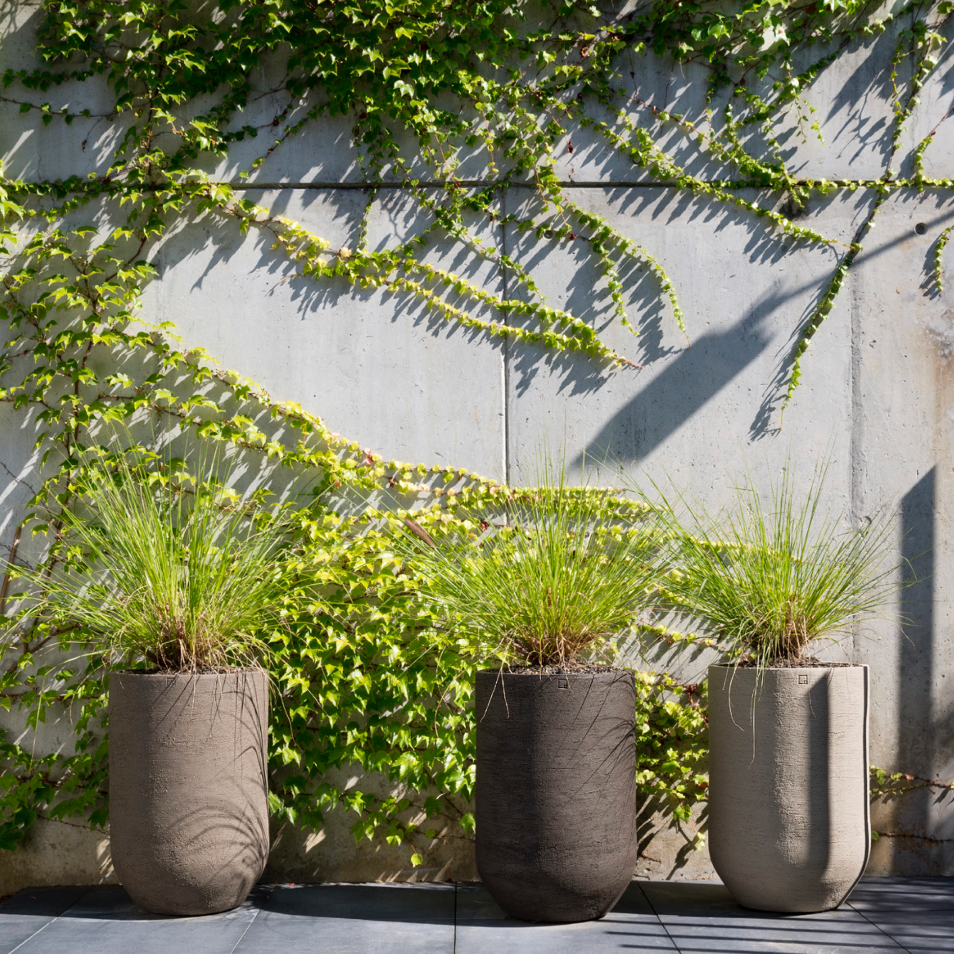 Die Atelier Vierkant UH-Vasen sind ein wahrer Hingucker für jeden Raum. Die frostfesten Pflanzgefäße haben einen Durchmesser von 48cm und eine Höhe von 72cm, was sie zu einem imposanten Blickfang macht. Mit einem Gewicht von 35kg sind sie zudem äußerst robust und stabil.