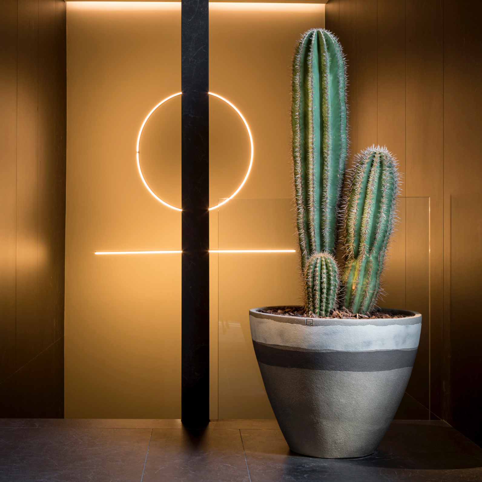 Verlieben Sie sich in die AK-Modelle von Atelier Vierkant: Hochwertige, frostfeste Terrakotta-Gefäße mit fröhlichen Farbakzenten. Sichern Sie sich Ihr Exemplar!