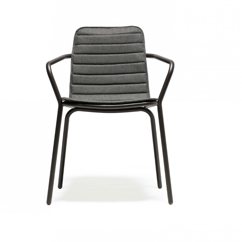 Fauteuil Todus Starling