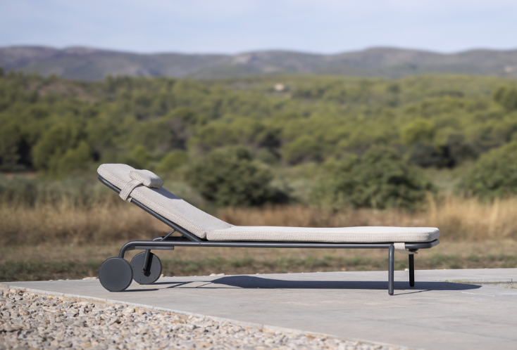 Todus I Starling Liege