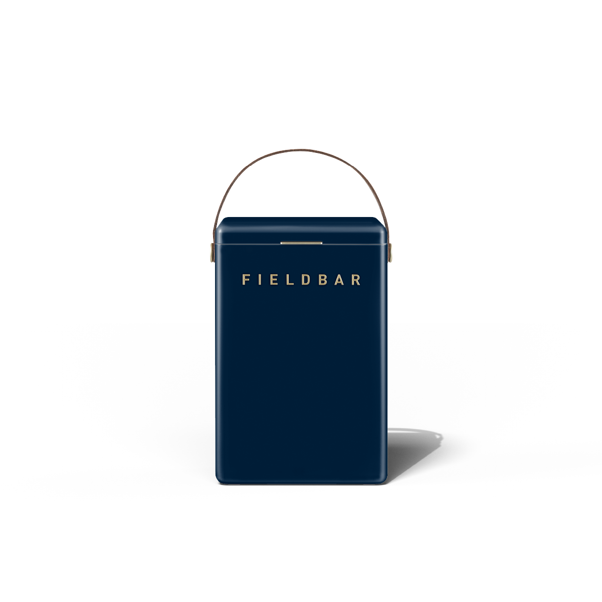 Fieldbar Kühlbox 10L – Blau