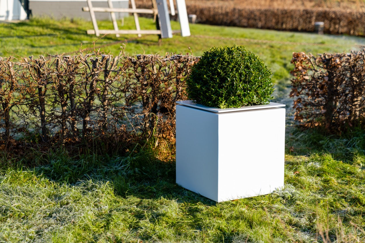 Das Pflanzgefäß hat ein integriertes Entwässerungssystem und steht leicht erhöht über dem Boden, was die Wasserabfuhr unterstützt.