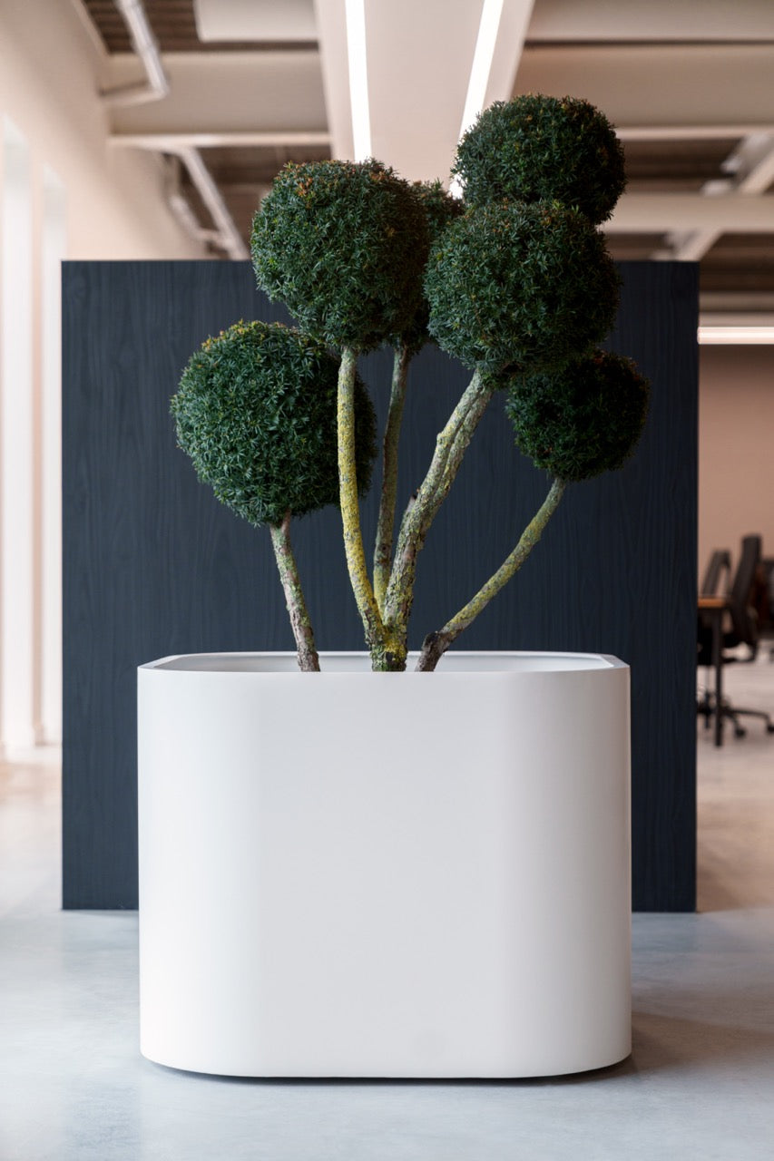 Adezz I Tonic Pflanzgefäß aus Aluminium