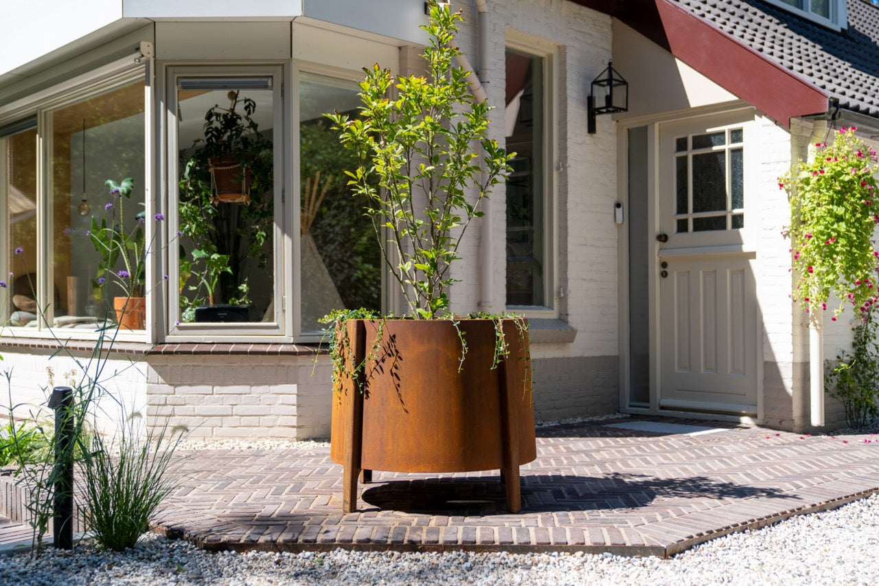 Robustes Material für alle Wetterbedingungen
Dank seiner wetterfesten Eigenschaften ist der Cortenstahl besonders widerstandsfähig gegen verschiedene Witterungsbedingungen. Das BOTAN Pflanzgefäß ist somit die perfekte Wahl für jeden Gartenliebhaber, der die Schönheit und den Charme der Natur schätzt. Machen Sie Ihren Garten zu einem lebendigen Rückzugsort!