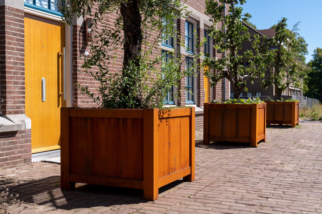 Adezz I York Pflanzgefäß aus Cortenstahl