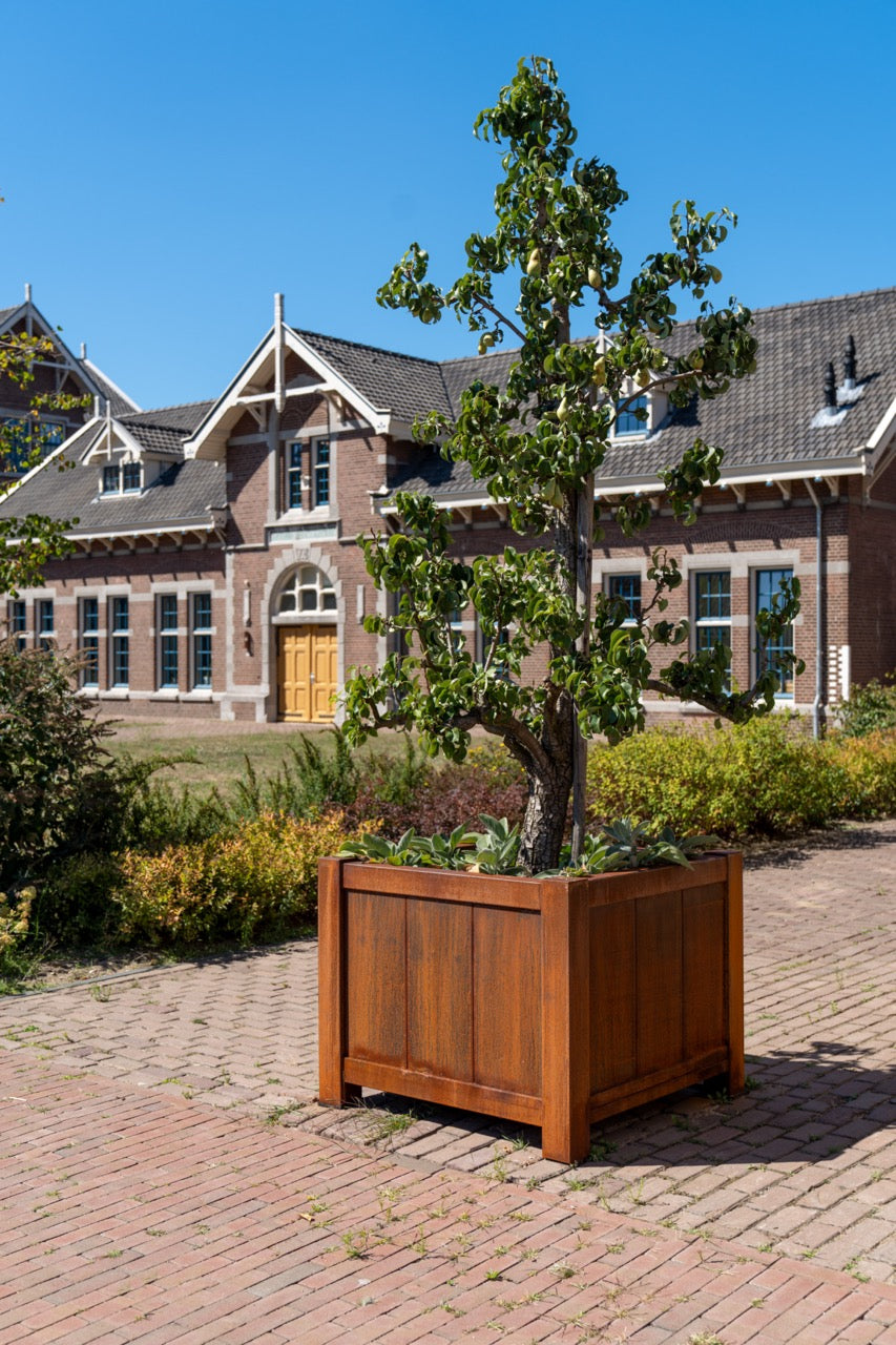 Adezz I York Pflanzgefäß aus Cortenstahl