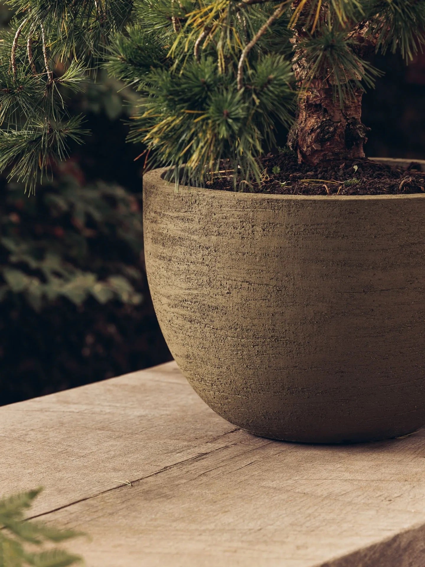 Domani Texel Pot – Terracotta Ø50–120cm