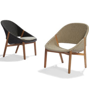 Tribu | Elio Sessel