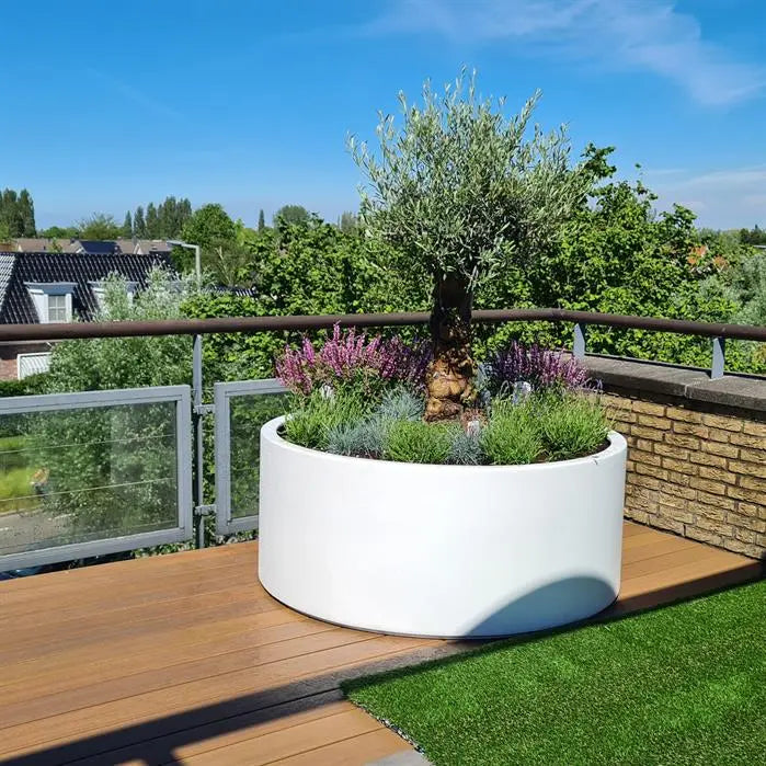 Der CIRCUM Aluminium-Pflanzkübel besticht durch sein elegantes und zeitloses Design. Leicht und dennoch robust, eignet er sich perfekt für jede Gartenlandschaft.