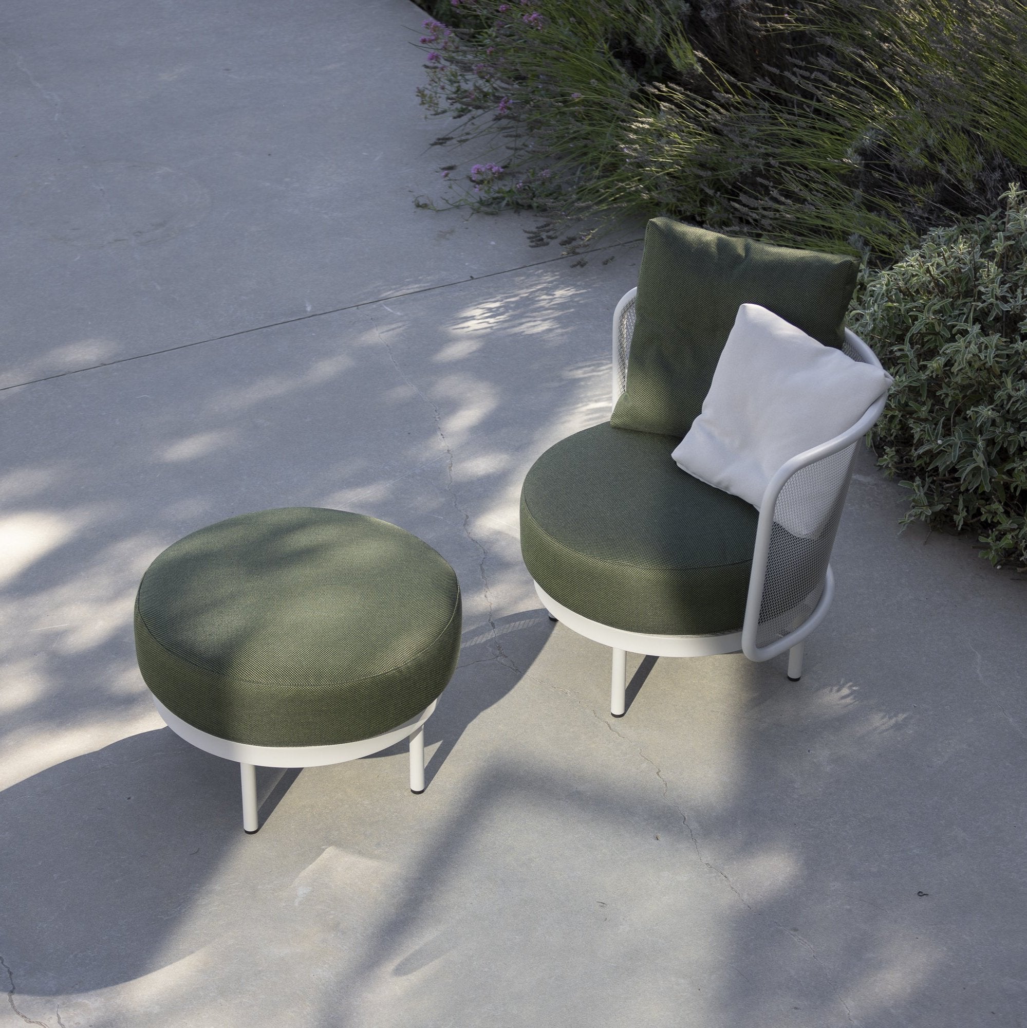 Todus I Baza Club chair