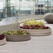 Die Atelier Vierkant UFS Pflanzschale ist die perfekte Ergänzung für Ihren Außenbereich, ob Garten, Terrasse oder Balkon. Hergestellt aus hochwertigem, frostfestem Terracotta, überzeugt die Schale durch ihre flache, elegante Form und das feine, handgearbeitete Design. Die zarte Wellenprofilierung am oberen Rand unterstreicht den modernen Stil und fügt einen Hauch von Zeitlosigkeit hinzu. Dank der speziell behandelten, matten Oberfläche fügt sich die UFS Schale harmonisch in jede Umgebung ein und ist ideal f