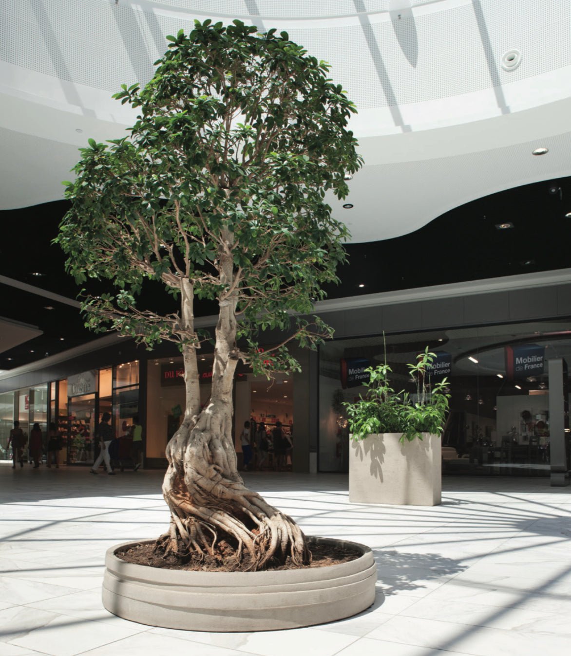 Die Atelier Vierkant UFS Pflanzschale ist eine flache Terracotta-Schale mit einem eleganten, gewellten Rand. Sie eignet sich für den Außenbereich, wie Gärten oder Terrassen, und ist frostbeständig.