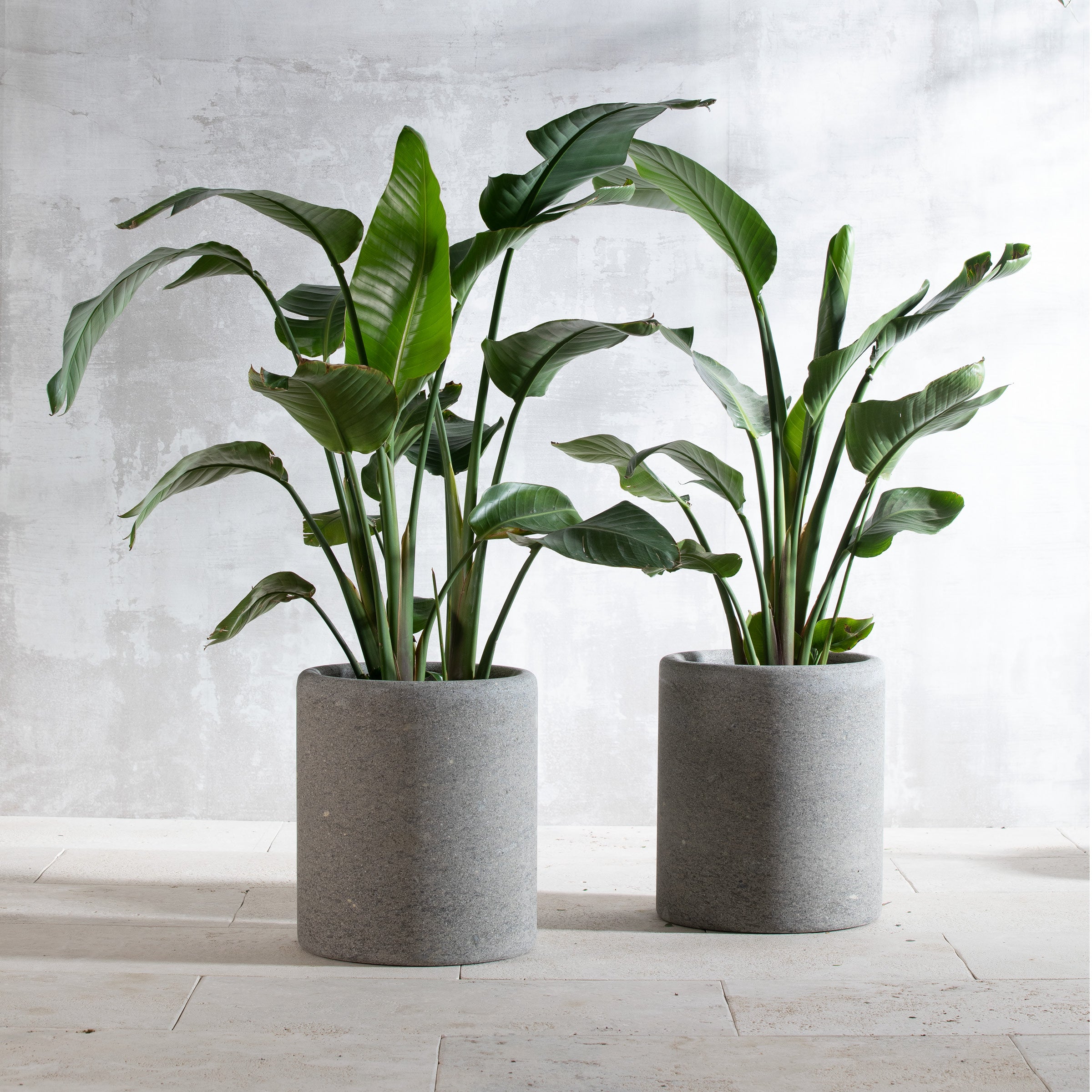 LAPIS By VELTHA®: Zylindrisches Pflanzgefäß, 45 cm hoch, 39 cm Durchmesser, gefertigt aus natürlichem Peperino oder Travertin, wetterfest und robust.
