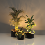 Mazu I Wedge Pflanzkübel – Elegantes Design mit LED-Beleuchtung