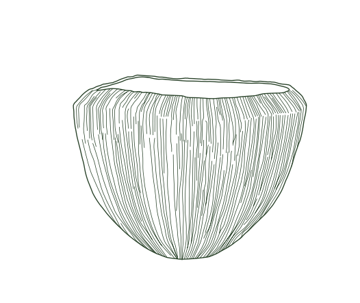 Domani - Atlantis - Blumengefäß