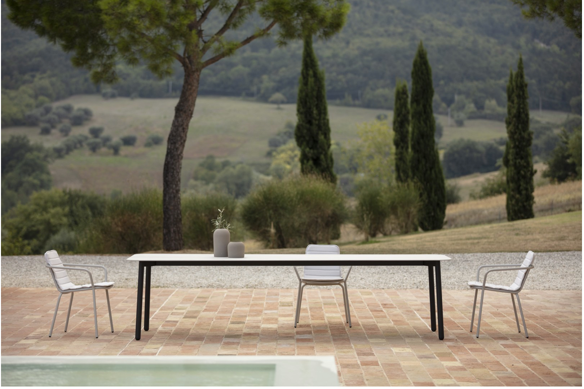 Todus I Starling Armchair