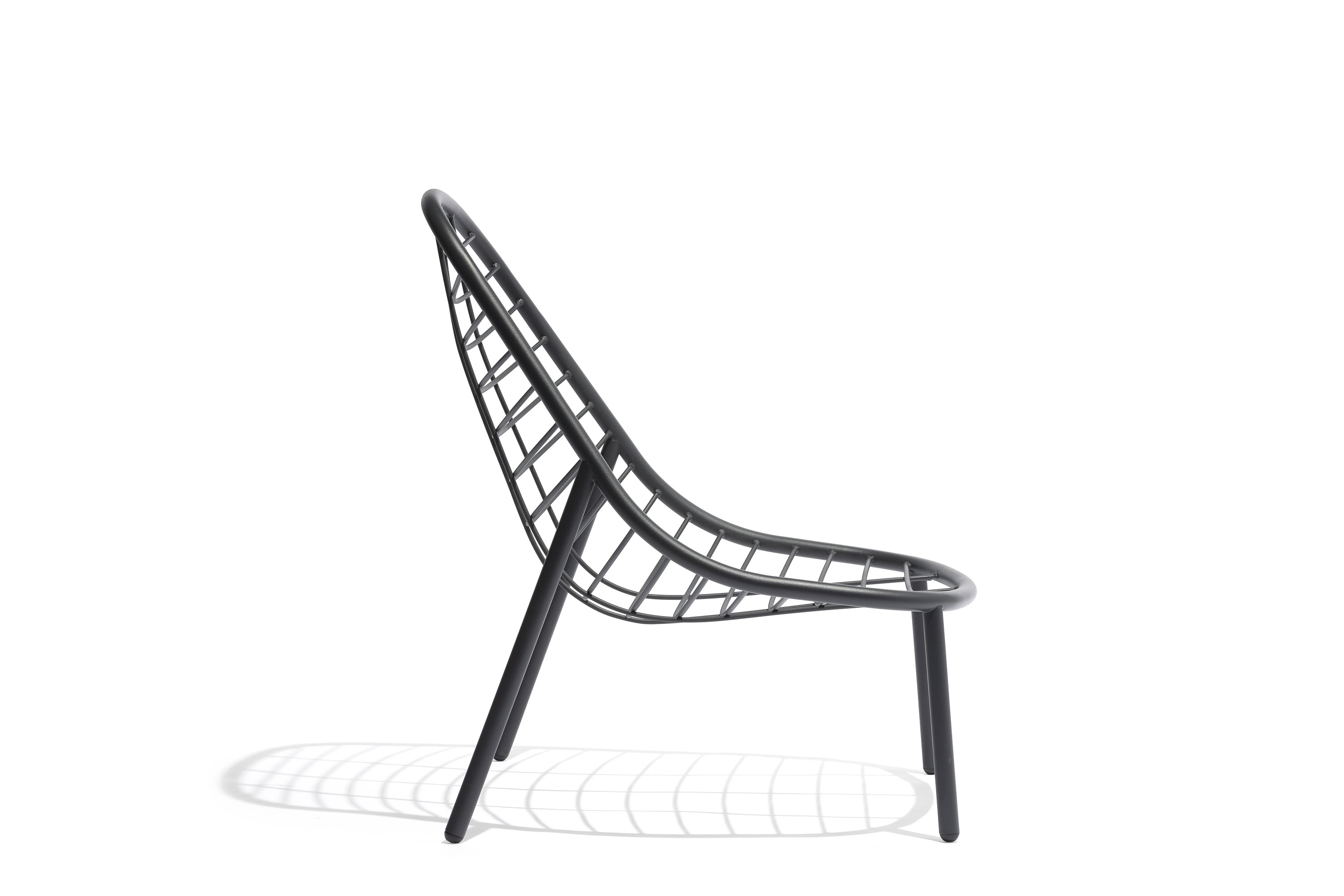 Todus I Albus Loungestuhl