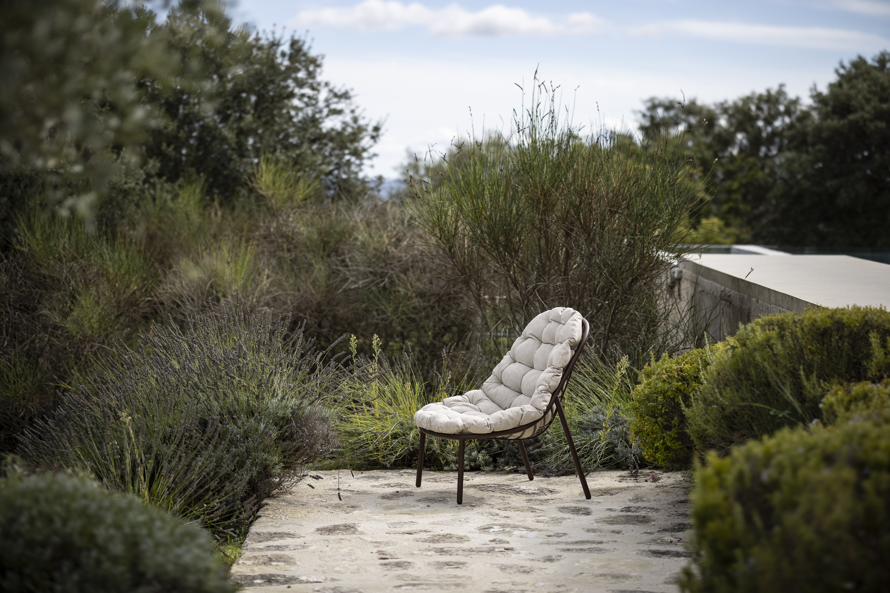 Todus I Albus Loungestuhl