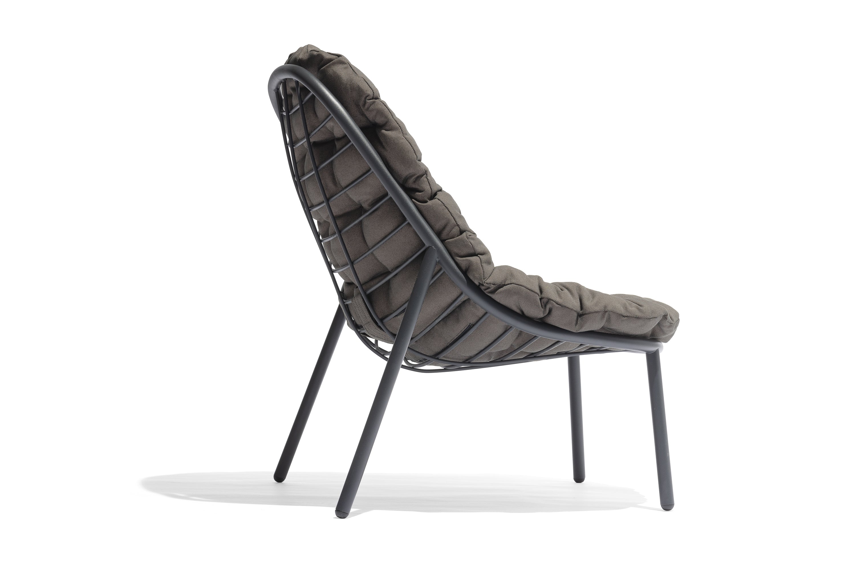 Todus I Albus Loungestuhl