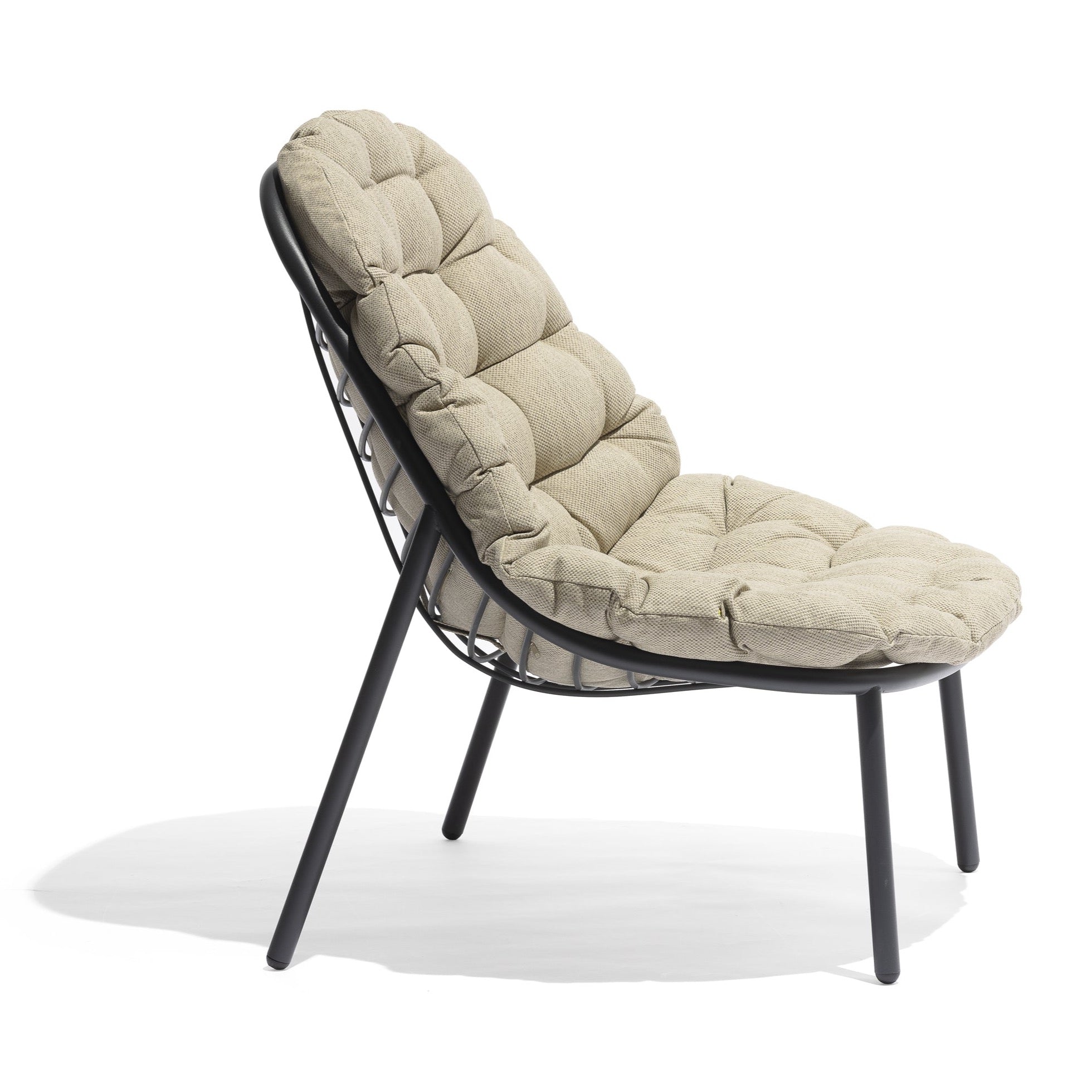 Todus I Albus Loungestuhl