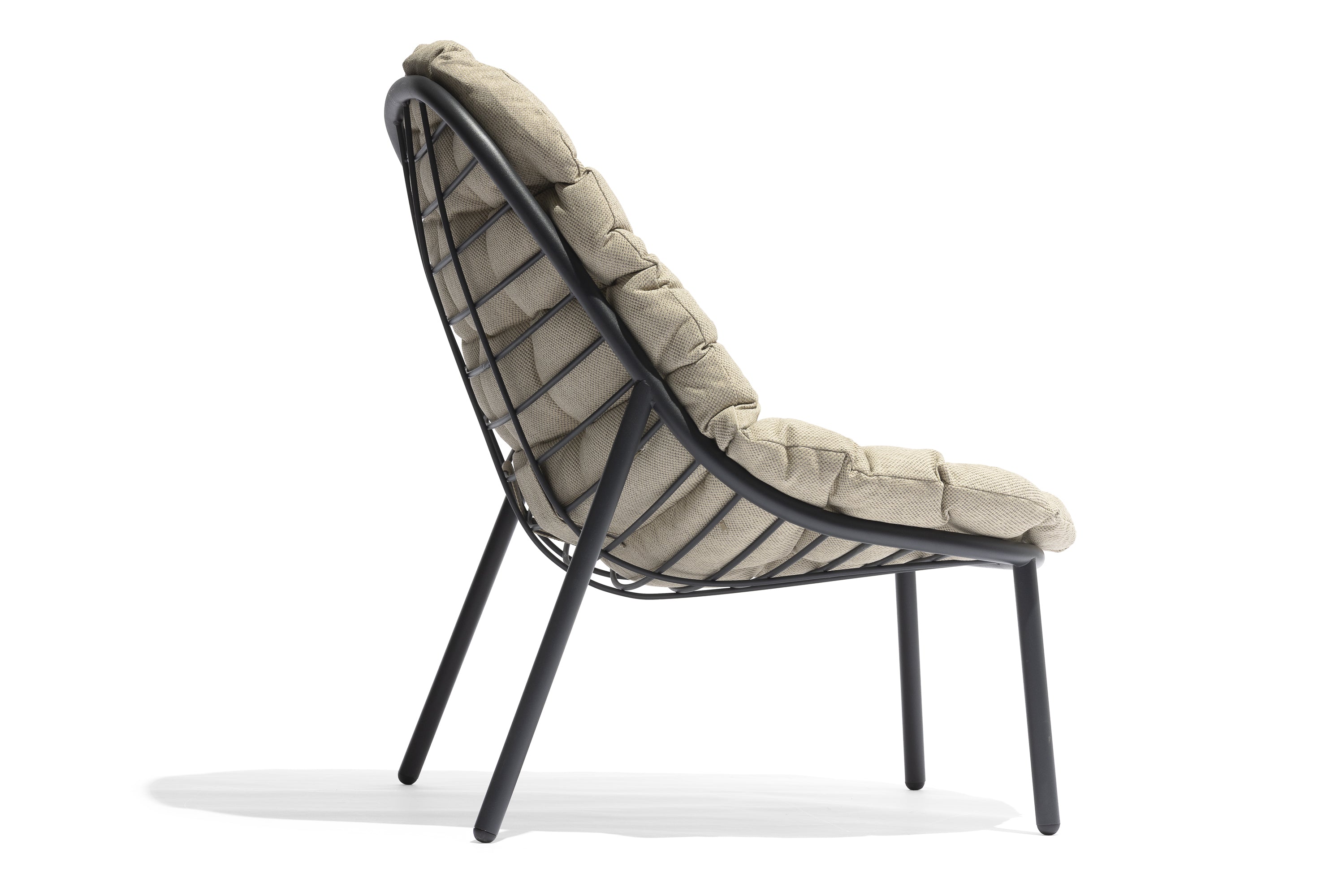 Todus I Albus Loungestuhl