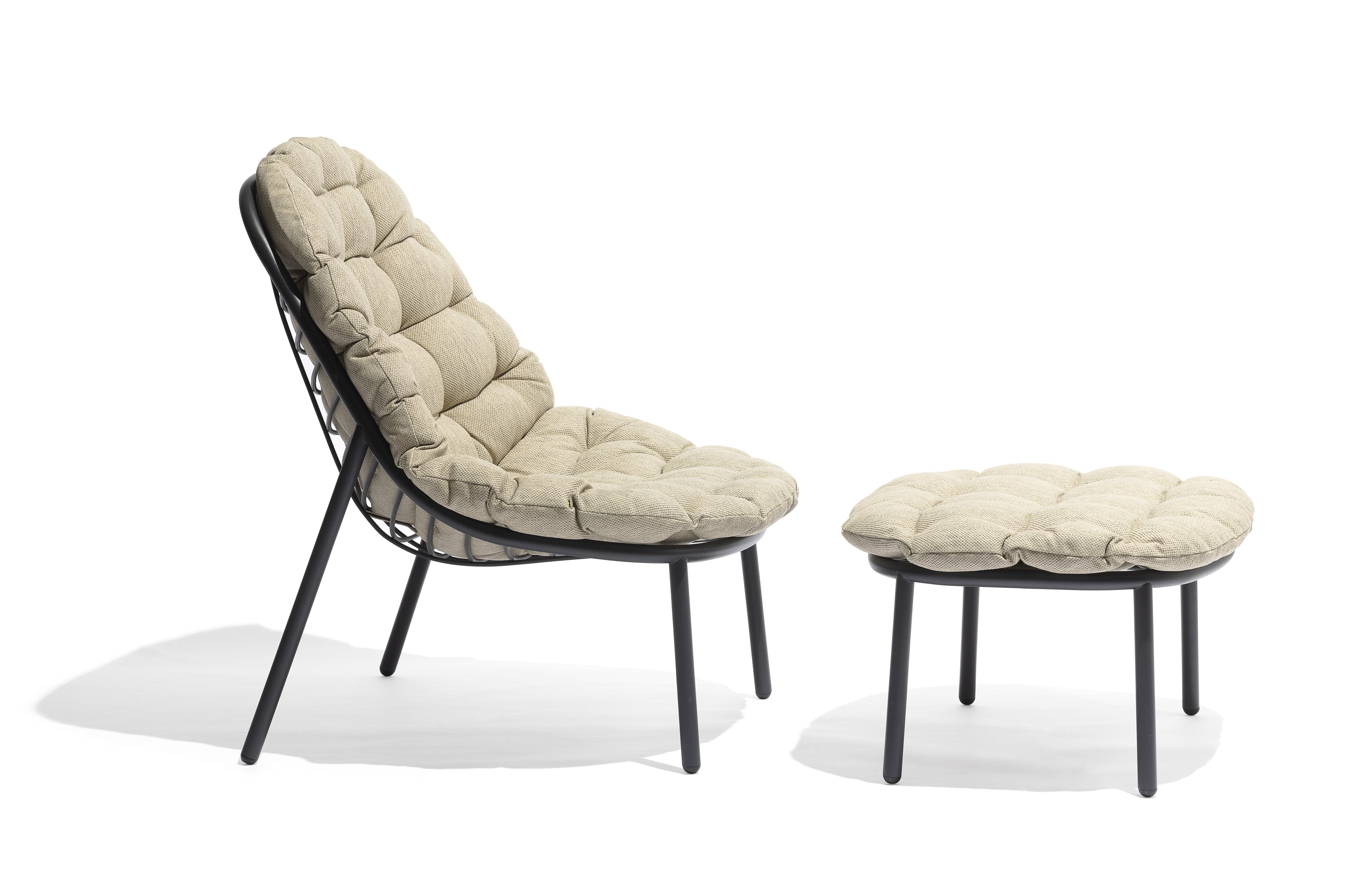 Todus I Albus Loungestuhl