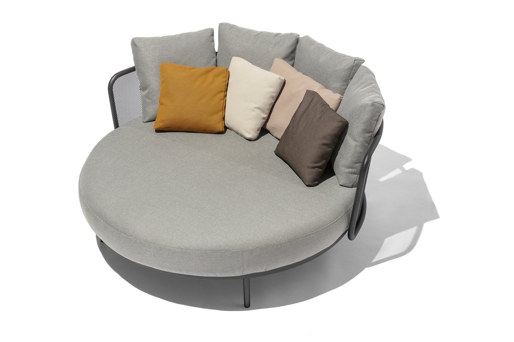 Todus Baza Daybed