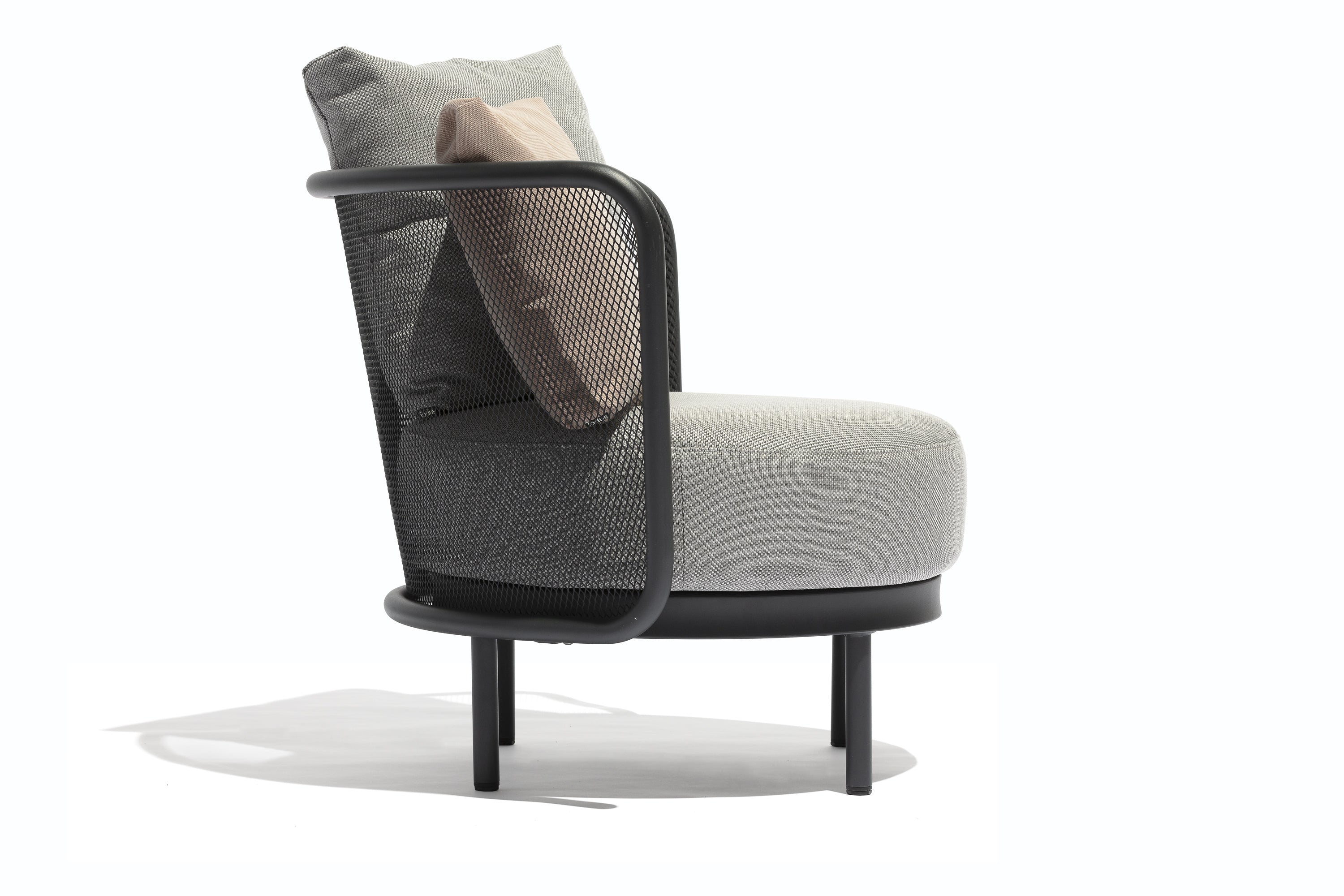 Todus I Baza Club chair