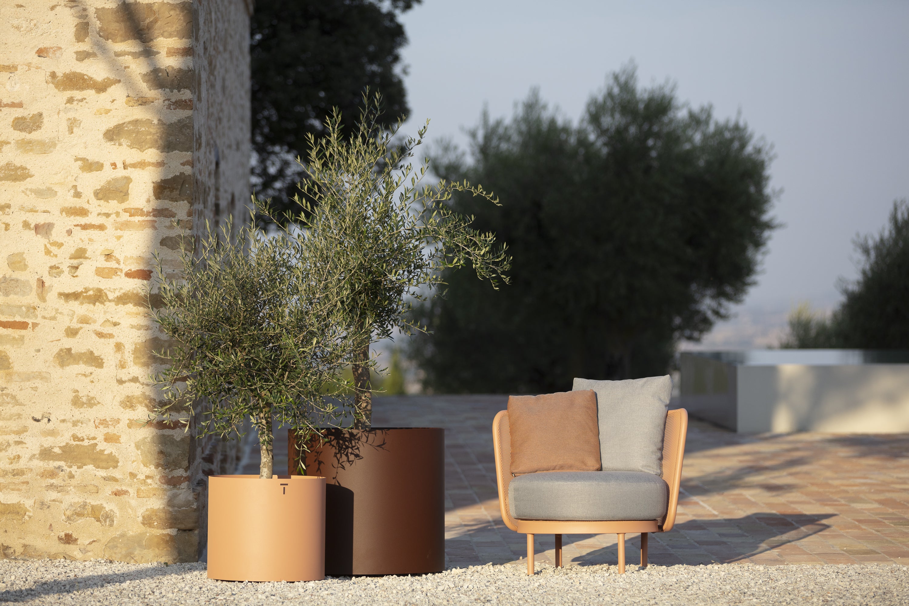 Todus I Baza Club chair