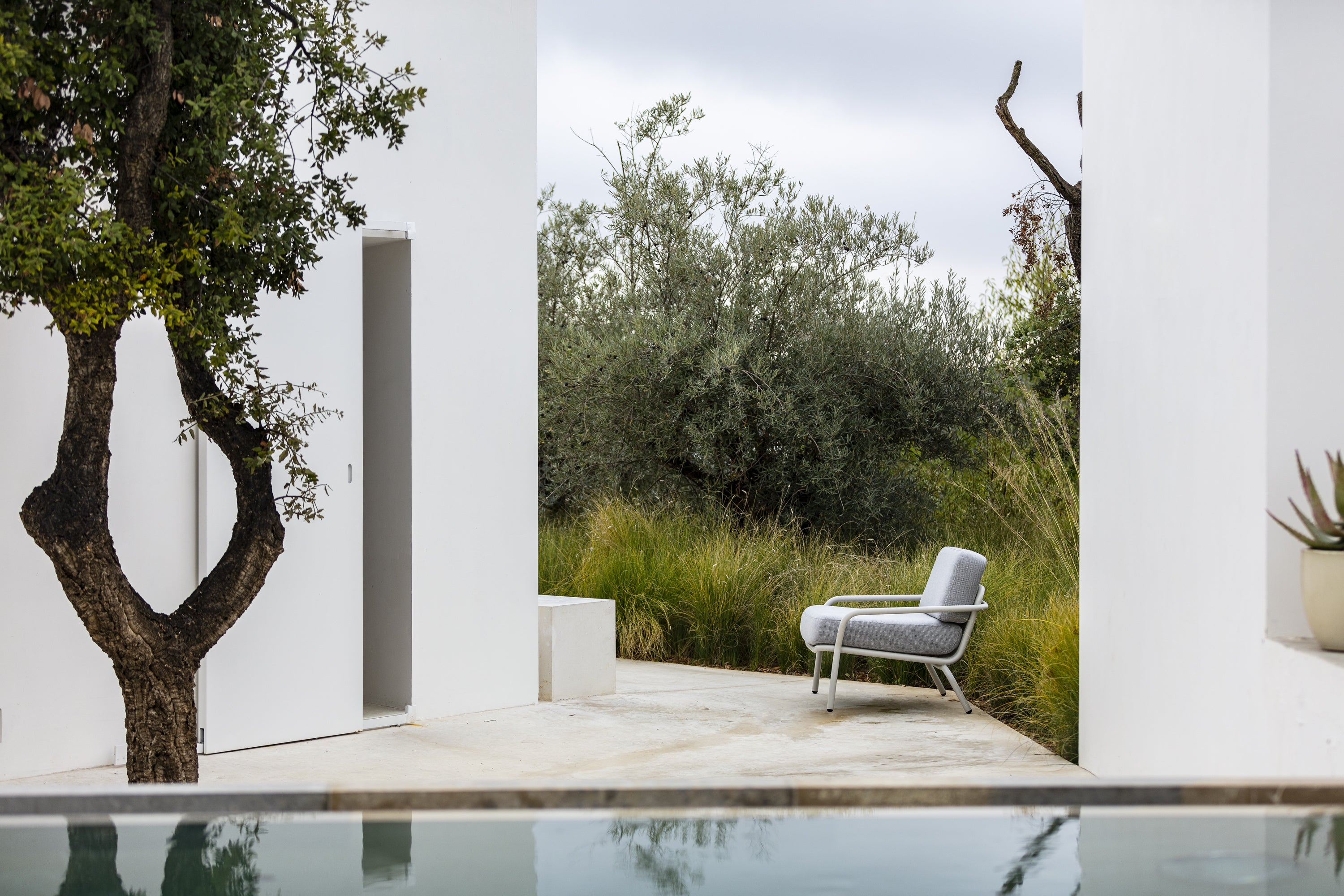 Todus I Starling Sessel