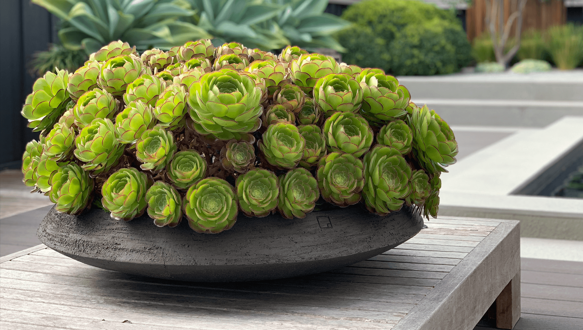 Unterschiedliche Größen der SR und SRD Terrakotta-Schalen im Außenbereich