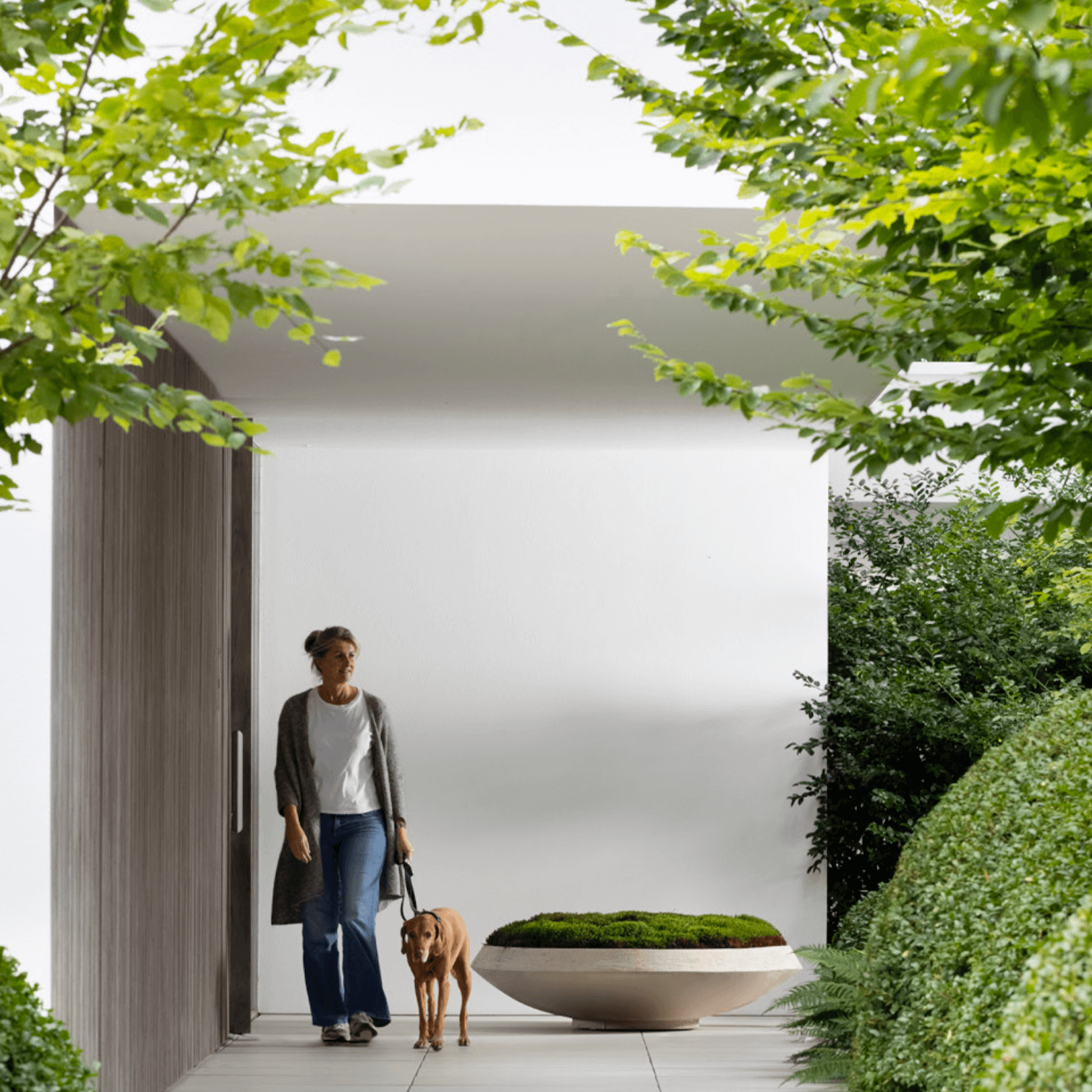 Flache SR Terrakotta-Schale mit einfacher Schalenwand für den Außenbereich