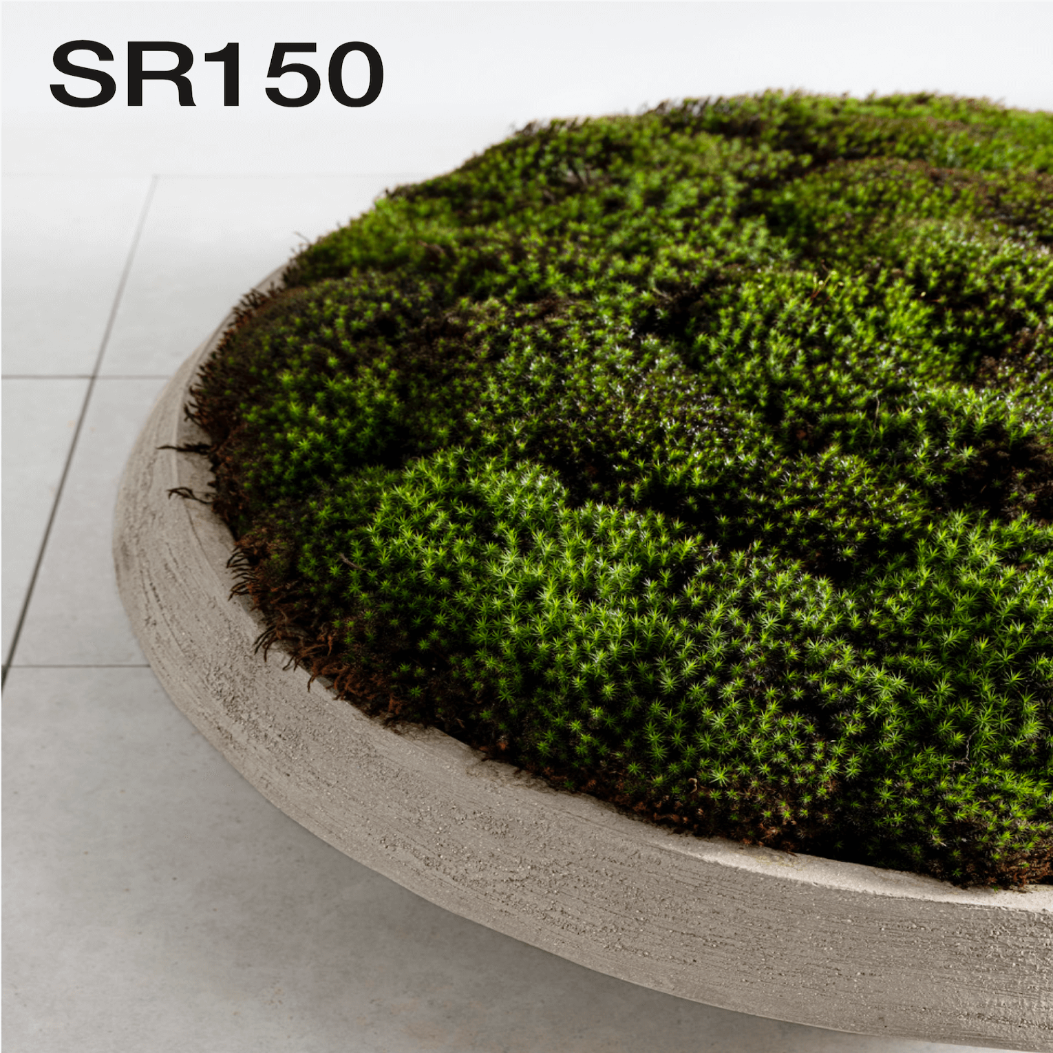 Großformatige SR150 Terrakotta-Schale mit architektonischer Präsenz im Garten