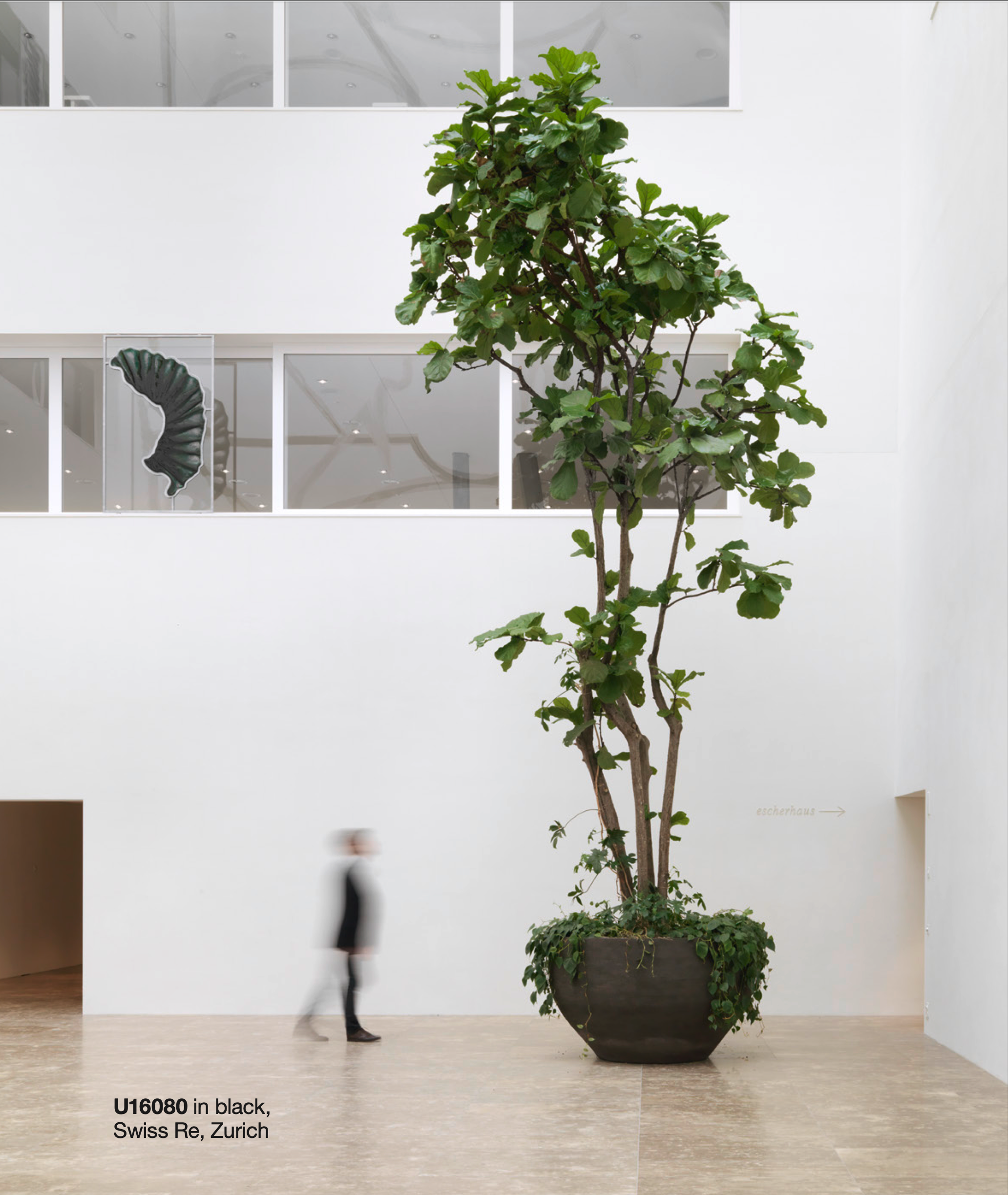 Großformatiges Atelier Vierkant U Pflanzgefäß in einem architektonischen Außenraum